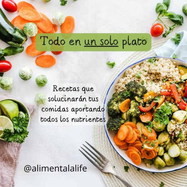 Todo en un solo plato